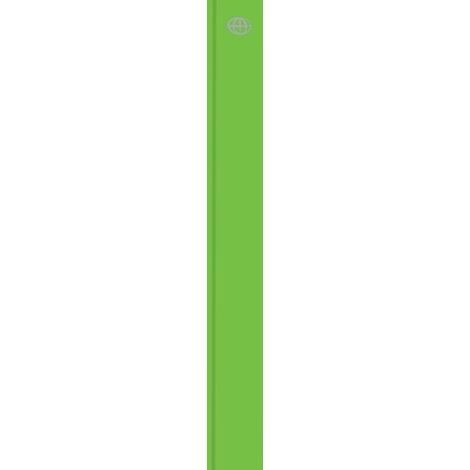 Cartella con elastico A4+ Verde fluo (10 pz)