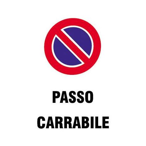 Cartello Passo Carrabile in Polipropilene cm 20x30