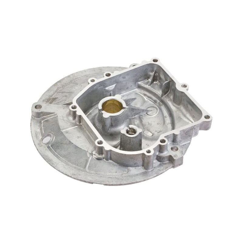 Carter BRIGGS ET STRATTON 594101