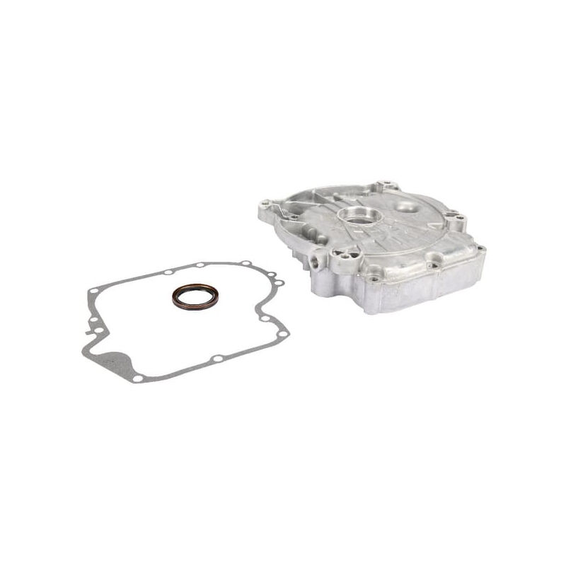 Carter de protection briggs et stratton 697106