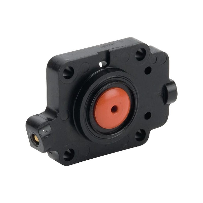 Carter KAWASAKI 161602089