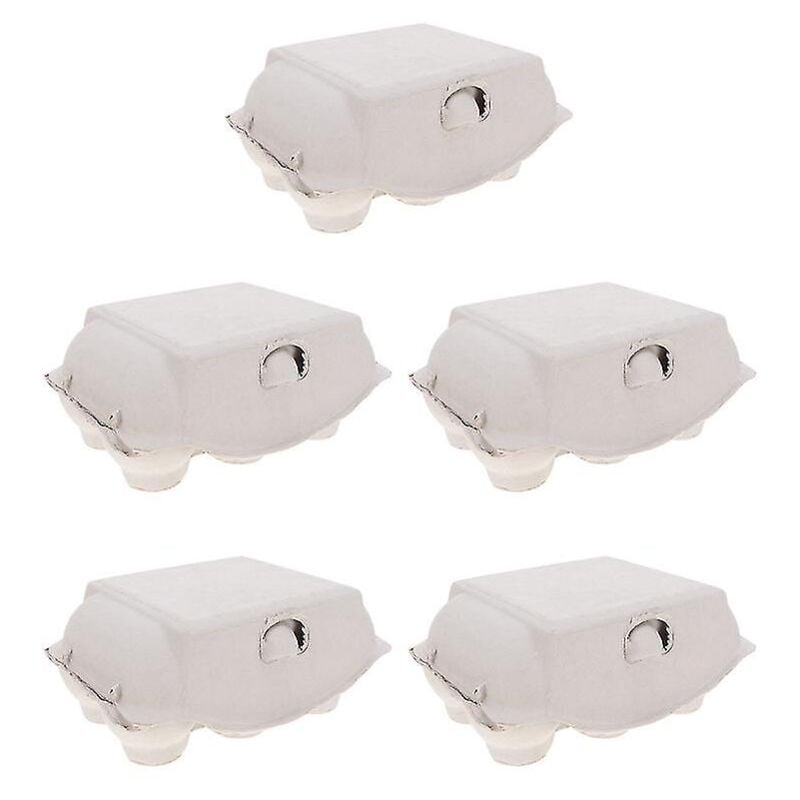 Carton d'oeufs 5 pièces