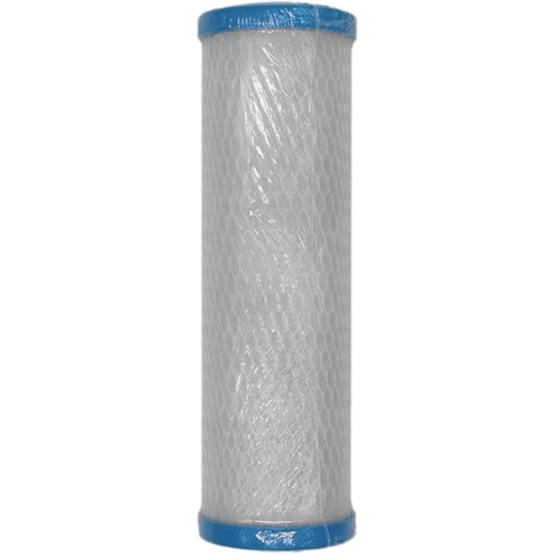 Pentair - Cartouche Charbon Actif Chlorplus 10 - 1µm