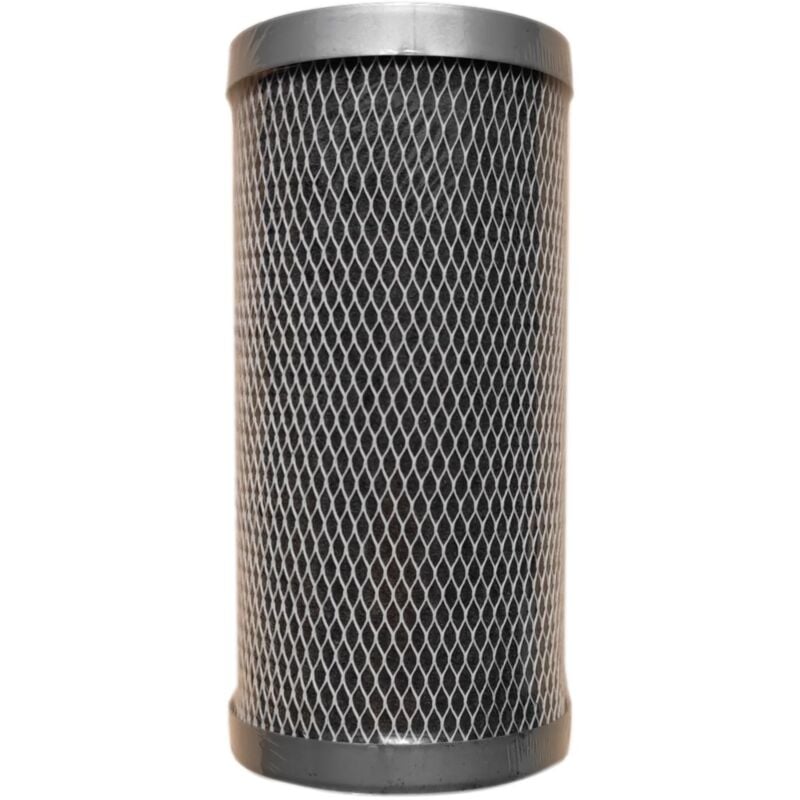 Pentair - Cartouche Charbon Actif Fibredyne Floplus 10 Big Blue - 0,5µm