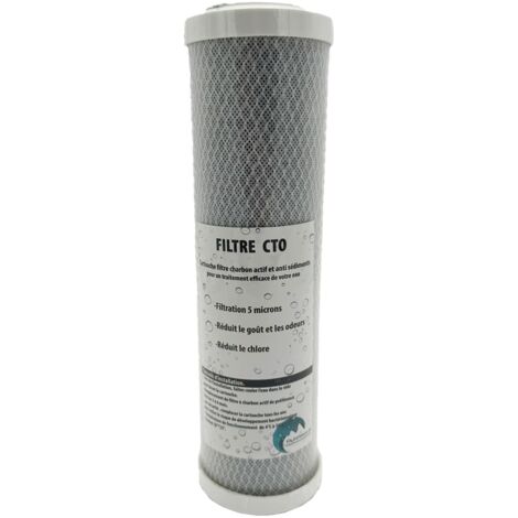 Cartouche charbon actif + sédiment 10 microns pour porte filtre 9-3/4 - 10 Pouces