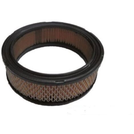 Cartouche de filtre à air pour tondeuse BRIGGS&STRATTON 100010