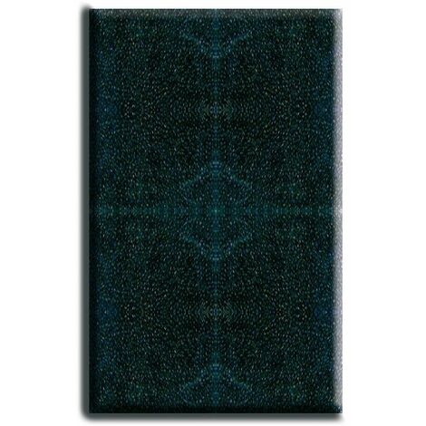 Cartouche de filtre éponge pour filtre Niagara 440