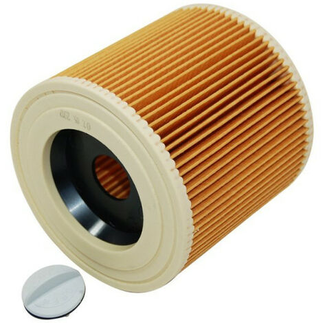 Cartouche filtrante 64145520 pour Aspirateur KARCHER