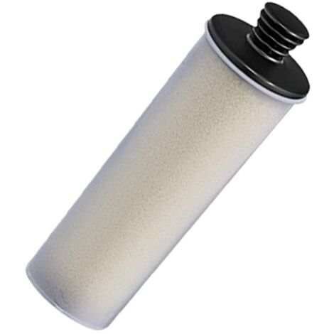 Cartouche filtrante d'origine (2.863.018.0, 28630180) Nettoyeur vapeur KARCHER
