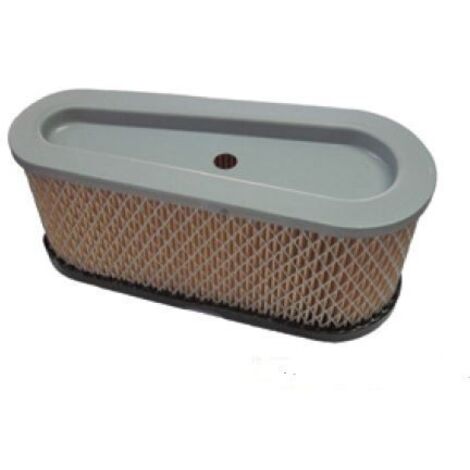 Cartouche filtre à air tracteur tondeuse BRIGGS&STRATTON 100008 3-017