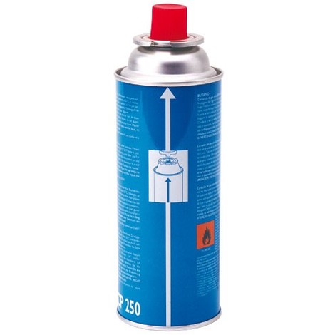 Cartouche gaz à valve CP 250 - CAMPINGAZ