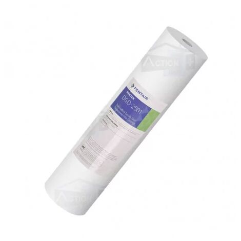 Cartouche Pentair Big Blue DGD 2501