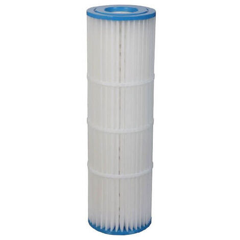 Cartouche Pentair Clean & Clear Plus 420 (H-RAF173576)