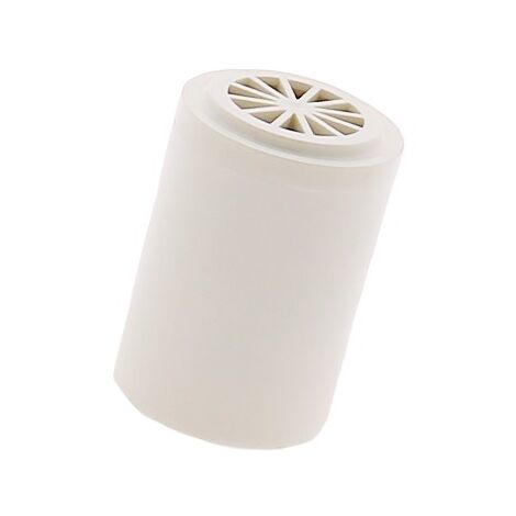 Cartouches et media filtrants - Cartouche pour filtre anti-calcaire et chlore pour douche