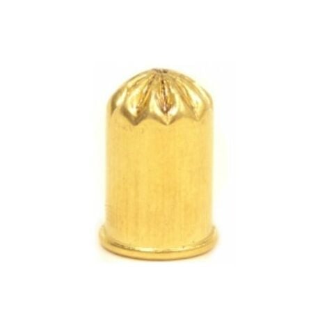 Cartouches pour piege a taupe x10