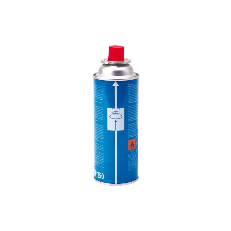 Image of Cartuccia a valvola CP250 da 220g di butano