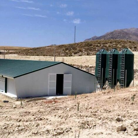 Casa avícola de estructura de acero prefabricada para pollos 10000
