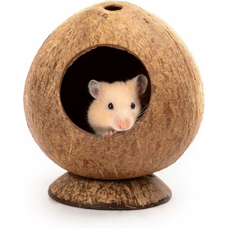 Casa para hamster