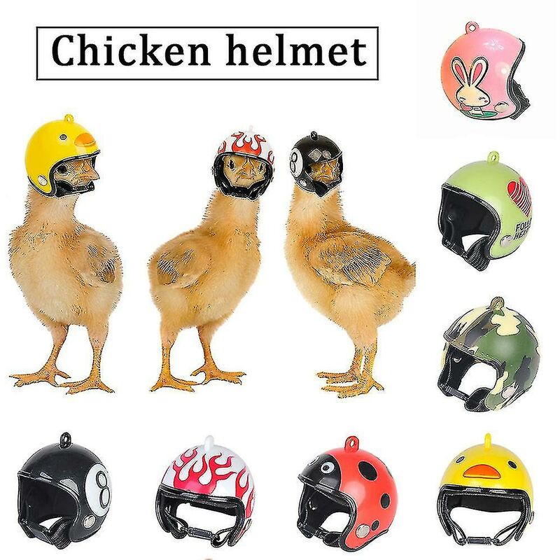 Casco per uccelli di pollo Copricapo per piccoli