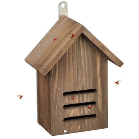 Casetta per coccinelle in legno di abete marrone