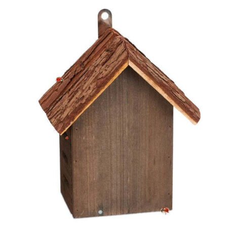 Casetta per coccinelle in legno marrone