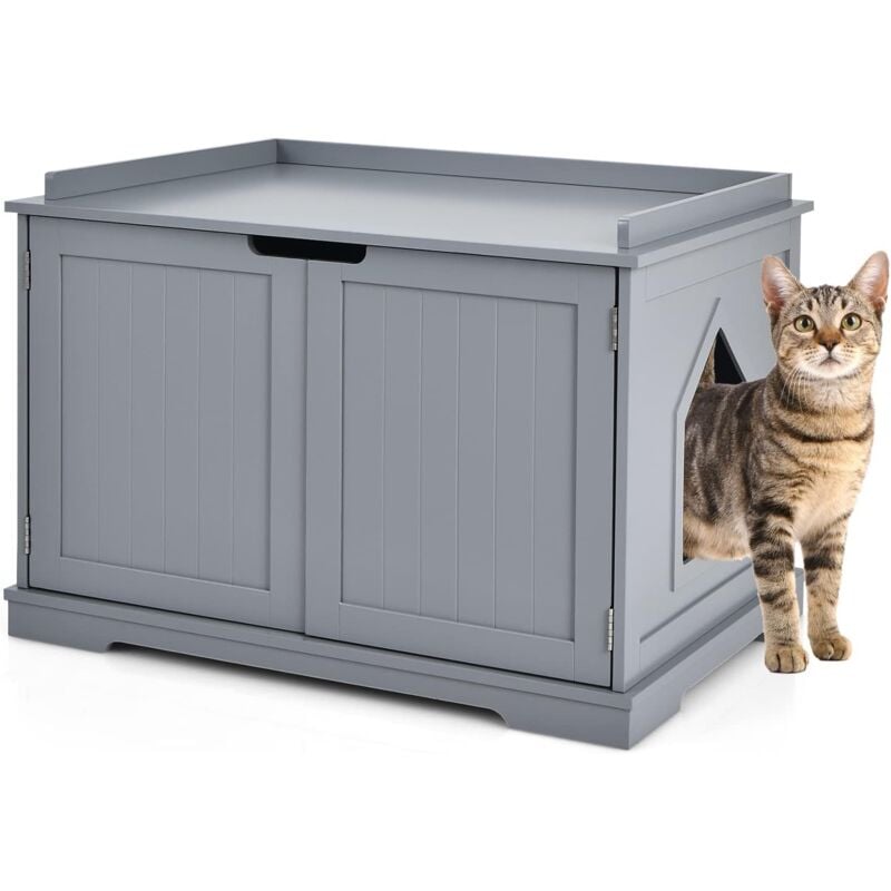 Casetta per Gatti, Lettera per Gatti, Casetta per