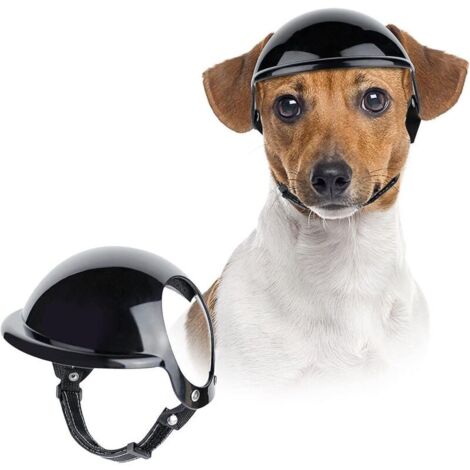 Casque pour animaux de compagnie avec ouverture pour les oreilles pour chiens - Équipement de protection pour la randonnée, le vélo et la conduite