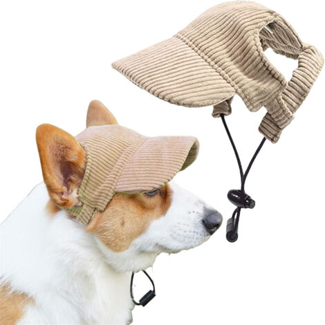 Casquette de baseball pour chien
