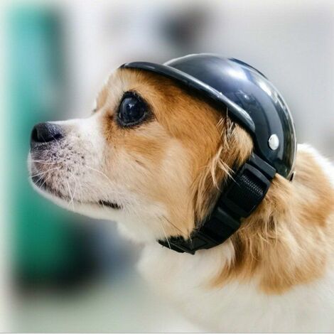 Casquette de casque pour chien de compagnie Chapeau d'équitation de vélo de moto pour petits chiens Chats Noir Durable (S)