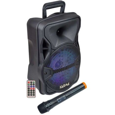 Cassa Audio Amplificato Lx 8 300 Watt Con Radiomicrofono