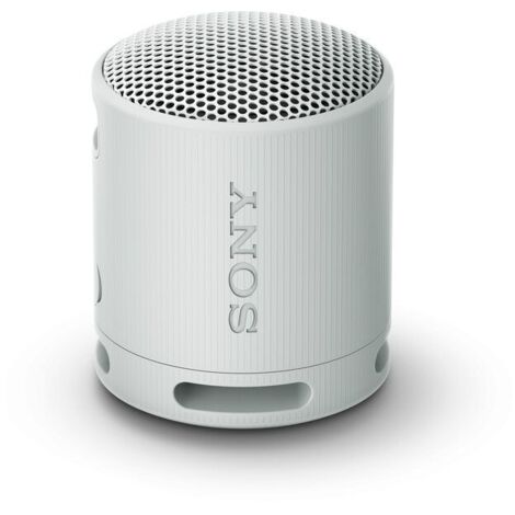 Cassa wireless Sony SRSXB100H CE7 Compact Grigio Grigio