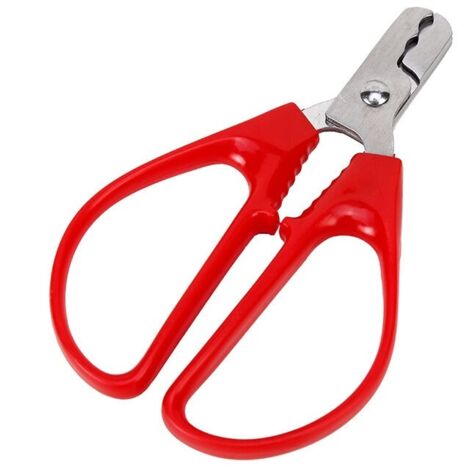 Casse-Noisette Nut Shell Cracker graines Graines de tournesol décortiquer pistache ménage Pince Peeling métal écrou Ouvre-outil de cuisine, d'ouverture Peeling Pinces de graines de melon-LIAIKI