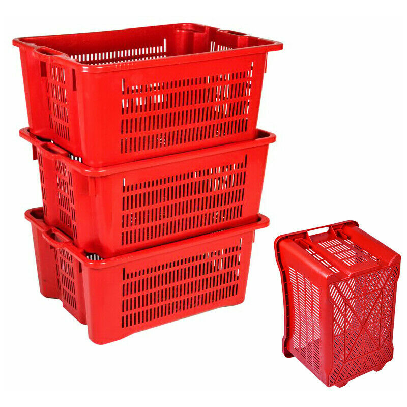 Cassette Per Olive E Uva Impilabili In Plastica Forata: 5 Pezzi Da 56x35x31 Cm, Contenitori Per Ortofrutta