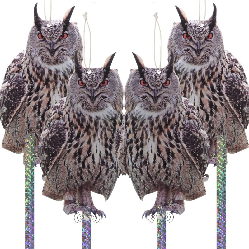 Aiperq - Caja de llaves segura, [seguridad mejorada] Código de combinación de 4 dígitos, caja de seguridad con cerradura de aleación de zinc de