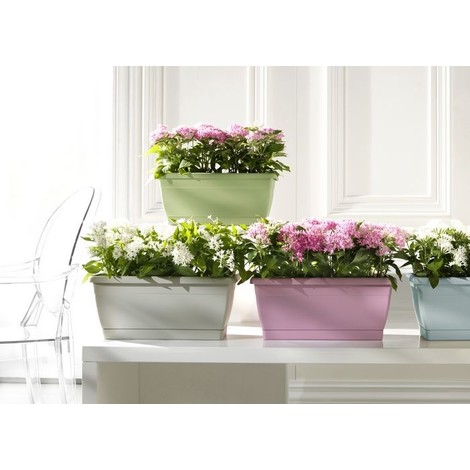 CASSETTA per fiori con riserva d'acqua fiori vaso cassetta da balcone IRRIGAZIONE 60 80 100 cm 