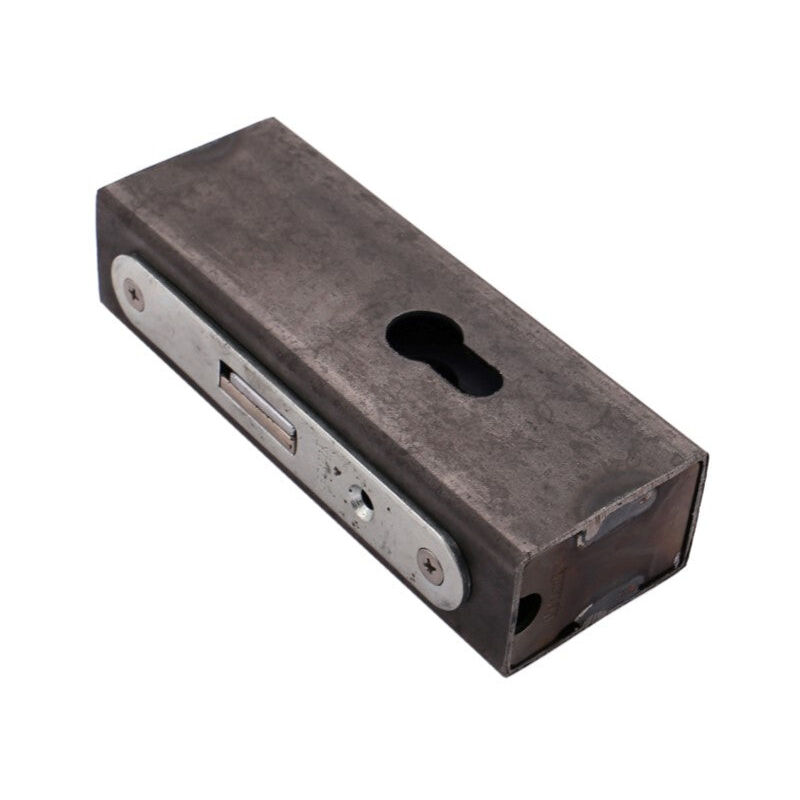 Cassette Avec Serrure Pour Porte 40x60x165mm Zw2 Pêne Court Frt