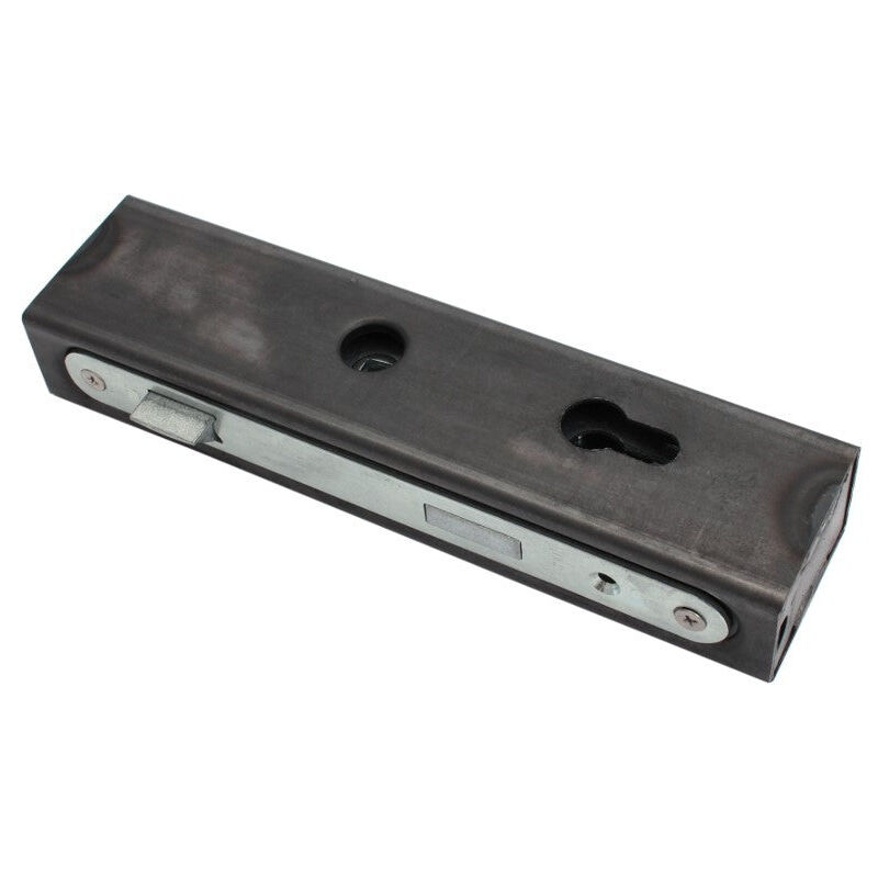 Cassette Avec Serrure Pour Porte 40x60x245mm Zw1 Loquet 72mm Frt