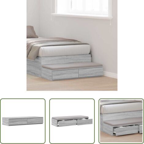 Cassetti minimali -  Cassetti per letto Grigio Sonoma 100 x 36,5 x 16,5 cm