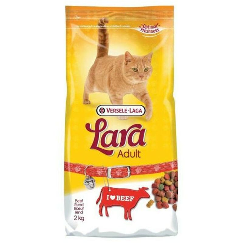 Global Network - Cat Food 2 kg | Lara nourriture pour chat avec du boeuf | Croquettes pour chat