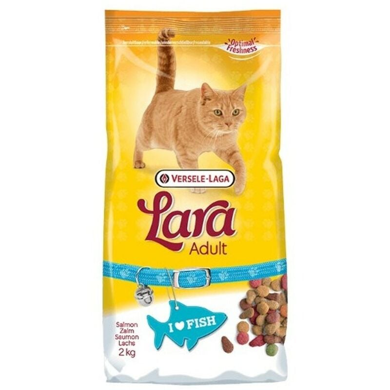 Global Network - Cat Food 2 kg | Lara nourriture pour chat avec du saumon | Croquettes pour chat