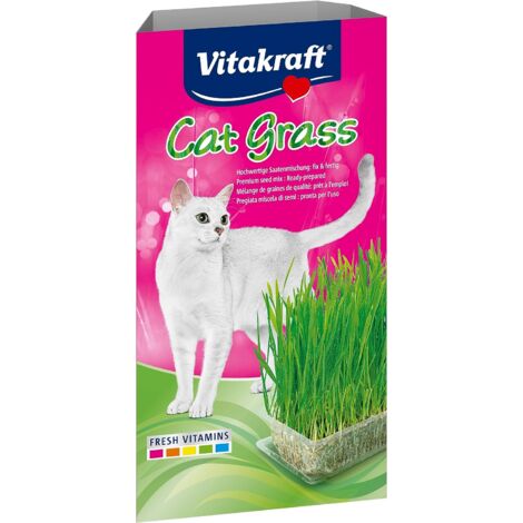 Cat Grass Erba Naturale Gatti