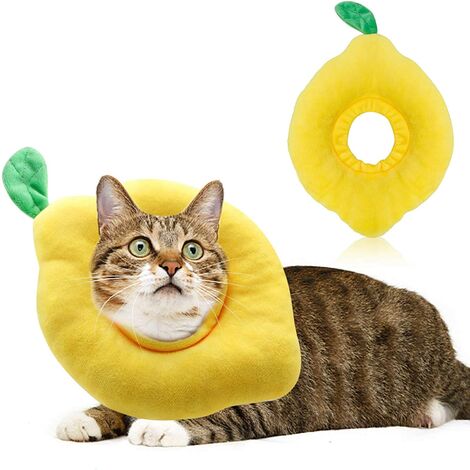 lemon cat collar