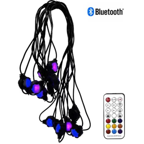 Catena luminosa Smart a led con gestione tramite APP da cellulare con 16 luci RGB Bluetooth con telecomando IP67 con picchetti e supporti inclusi per stradine e vialetti