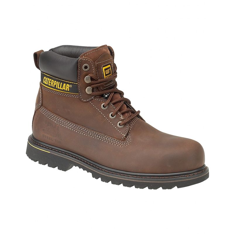 Caterpillar Holton SB Safety Boot / Mens Boots / Boots Safety (7 UK) (Brown)
