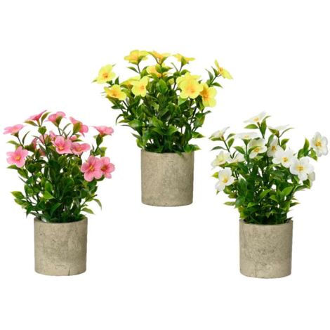 Catharanthus artificiale in vaso