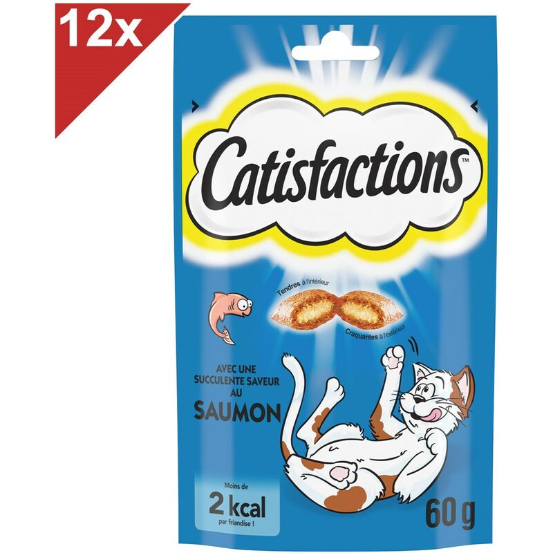 Friandises au saumon pour chat et chaton (12x60g) - Catisfactions