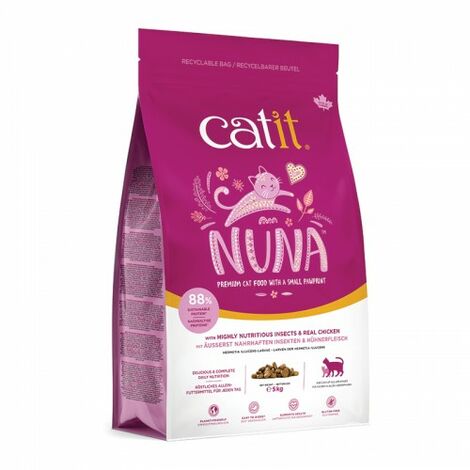 Catit Nun