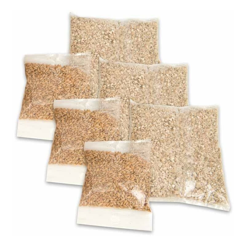 Catit -Sensen 2.0 Katzengras -Kit 3 UDS -Aufladung