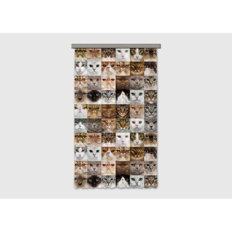 Cats, rideau imprimé 140x245 cm, 1 pièce