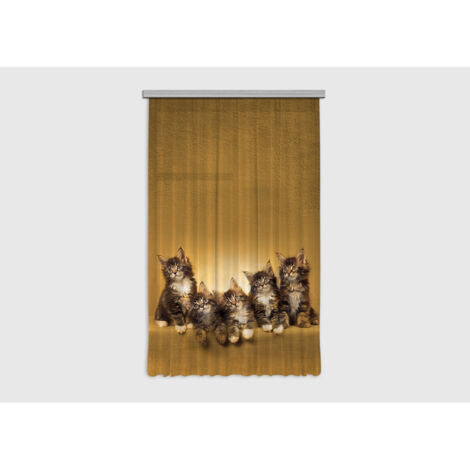 Cats, rideau imprimé 5 chatons 140x245 cm, 1 pièce